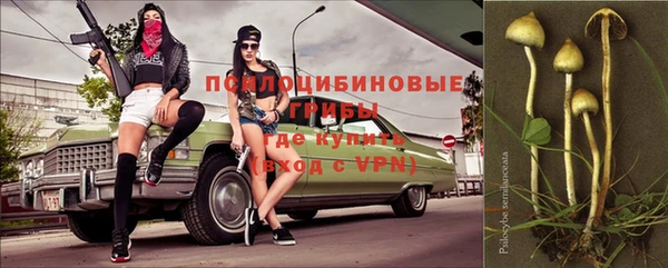 MESCALINE Заволжье