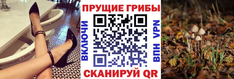 Псилоцибиновые грибы GOLDEN TEACHER блэк спрут онион Спас-Деменск